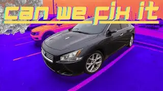 Picking Up A Second Car?