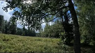 Новая стоянка У калины.  Поход.  Рыбалка.