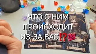 ЧТО С НИМ ПРОИСХОДИТ ИЗ-ЗА ВАС⁉️💯 #shorts