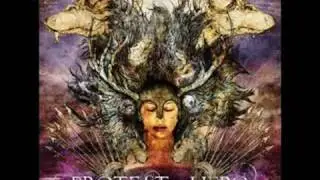Bone Marrow (Fast) - Protest The Hero