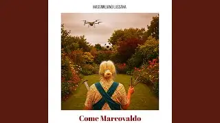Come Marcovaldo