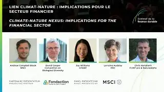 Lien climat-nature : Implications pour le secteur financier