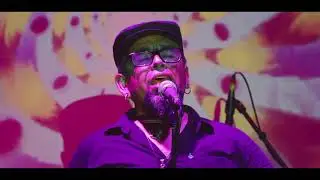 TE AMO - LOS YORKS XXI - 2018