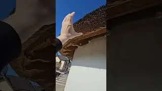 Thatched roofing! Is it worth it? 