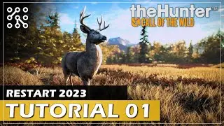 TUTORIAL 01 - RESTART 2023 | theHunter: Call of the wild CZ |  Česky