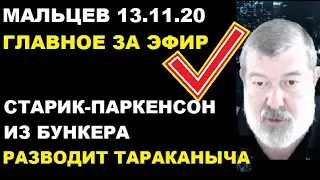 Мальцев 13.11.20 главное