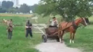 Inscenizacja historyczna Powstanie Warszawskie na Targówku
