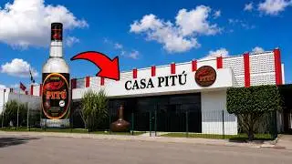 Por Dentro da Fábrica Pitú: A Cachaça que Conquistou o Mundo Inteiro