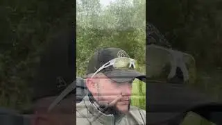 Я Протестировал Вездеход и Квадроцикл для болотных приключений