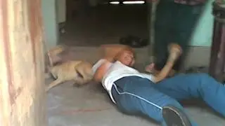 El perro violador