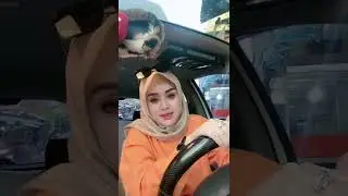 Tante Berondong Nih Culik Dong 