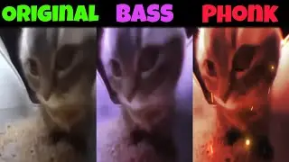 Chipi Chipi Chapa Chapa Original vs Phonk vs Bass part 1