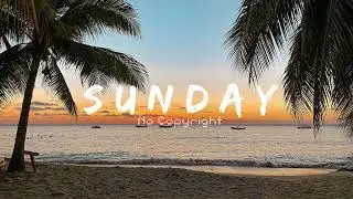 LiQWYD - Take it《Sunday No Copyright Music》