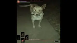 You shall not pass, hooman!