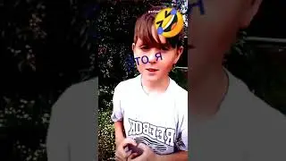 Обзор на вишню