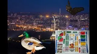 Поездка в Киев №3 . Озеро с утками и электрический конструктор.