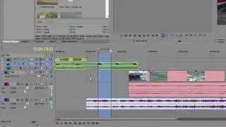 Sony Vegas Pro 25   Managing Projects with Track Groups