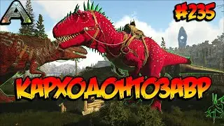Fjordur - Карходонтозавр (s7e25) ARK Survival Evolved