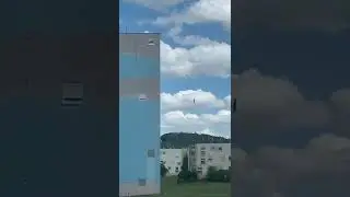 Птица ,,Сокол’’ литании прямо возле дома!!!