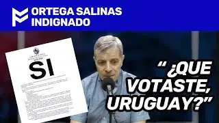 🥊ORTEGA SALINAS INDIGNADO🥊“¿QUE VOTASTE, URUGUAY?”🥊