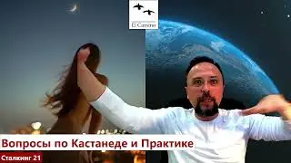 Синхрония. Не просто игра ума