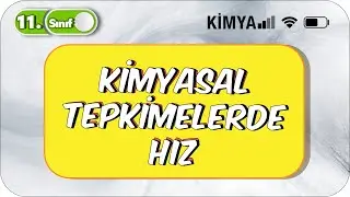Kimyasal Tepkimelerde Hız | Özet Anlatım |11. Sınıf  Kimya 