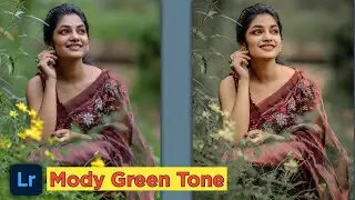 Lightroom Mobile Mody Green Tone Photo Editing |