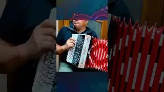 Одинокая ветка сирени на гармони Чайка 2 после настройки и замены голосов тест звучания 3 аккорда