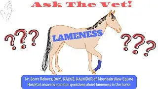 ASK the VET! Lameness