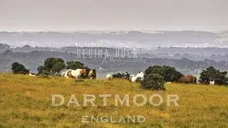 Mysterious Dartmoor