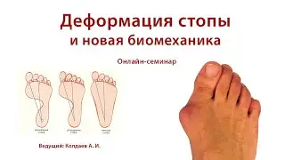 Новая биомеханика стопы