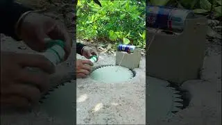 Really quick bird trap using Paper and Bacchus cans #shorts