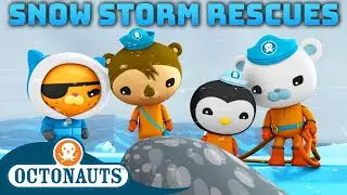 ‪@Octonauts‬