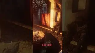 История рандомного npc - Stalker [Долг]  #stalkershorts#stalker#сталкер#shorts#short#expedition