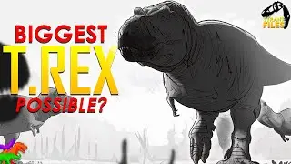 About How Big Could T. rex Get? | TYRANT FILES