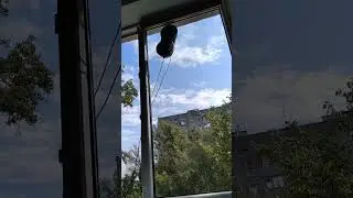 Washing the windows #shorts