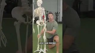 Why Your Hips Feel Uneven When You Walk #posture #backpain #lowbackpain