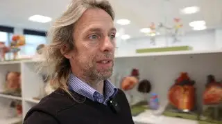 Study (vlog)