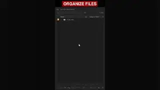 Organize files in premiere pro 