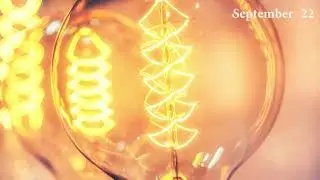 Who is the father of electricity