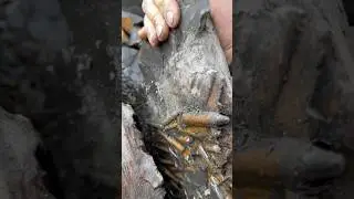 Look What We FOUND! Would You Have Found It? 😵‍💫😵😱