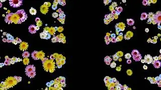 Footage video background black  - Rays effect podium