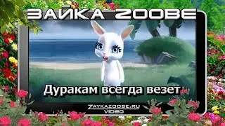 Зайка Zoobe. Дуракам всегда везет