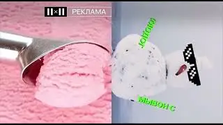 Сборник заставок 2х2 (09.2022-05.2023)