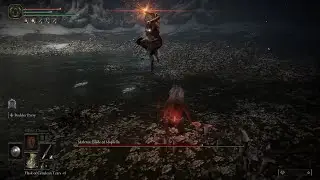 Elden Ring: Rune Level 1 Malenia Kill No Hit