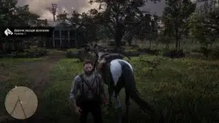 Red Dead Redemption 2 Night  ride.