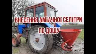 Підживлення озимої пшениці аміачною селітрою по дощу. Гідро циліндр на РУМ 0.5. Весна, березень, дощ