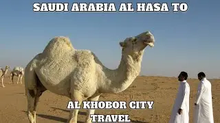 29 August 2023 Saudi Arabia AL Hasa to AL Khobor travel in Night