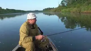 Снова рыбалка! "Валидольная" щука. Чепца. Август.
