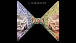 Pudú Status